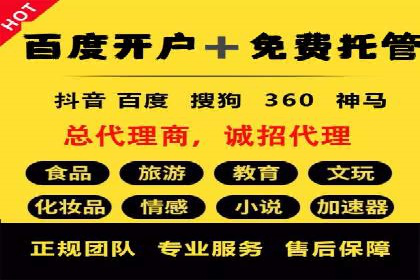 实战经验：SEM网络推广打造行业领军品牌